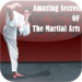 100+ Secrets Of The Martial Arts